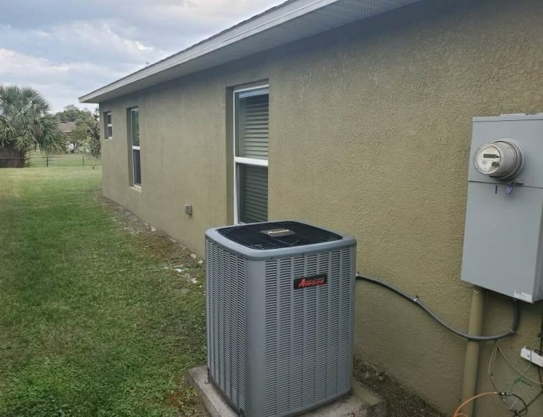 WhatsApp Image 2024-06-13 at 10.14.36 AM (1)