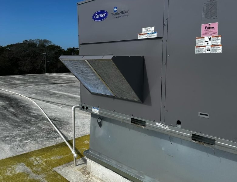 WhatsApp Image 2024-06-13 at 10.14.38 AM