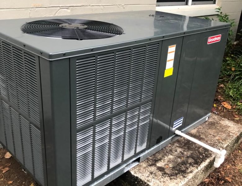 WhatsApp Image 2024-06-14 at 10.48.26 AM (2)